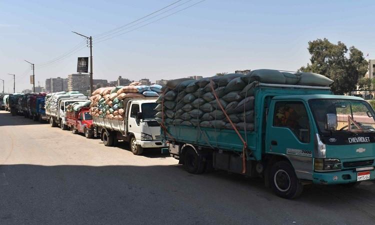 شون وصوامع المنيا تستقبل 3877 طناً من محصول القمح لموسم 2025 شون وصوامع المنيا تستقبل 3877 طناً من محصول القمح لموسم 2025