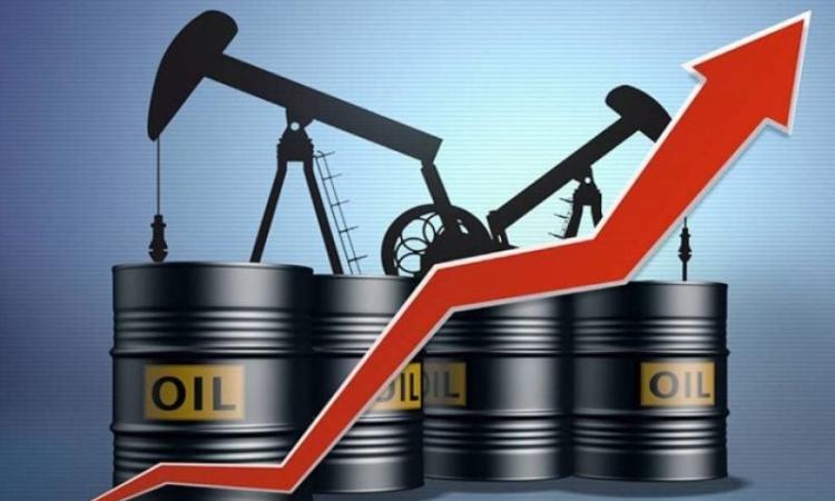 صعود طفيف للنفط بعد نزوله 2% بفعل زيادة محتملة لإنتاج أوبك+ صعود طفيف للنفط بعد نزوله 2% بفعل زيادة محتملة لإنتاج أوبك+