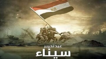 صناع الدراما: أرض الفيروز فى حاجة لمشروع قومى درامى