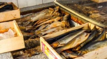 ضبط 15 طن أسماك ورنجة فاسدة في مخزن بالمنوفية