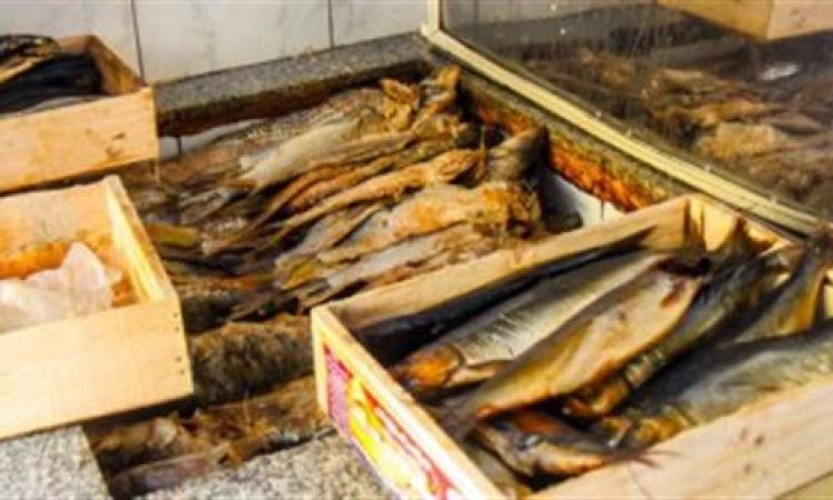 ضبط 15 طن أسماك ورنجة فاسدة في مخزن بالمنوفية ضبط 15 طن أسماك ورنجة فاسدة في مخزن بالمنوفية