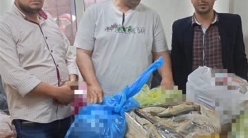 ضبط سردين مملح بدون بيانات وأسماك غير صالحة للاستخدام الآدمي بالبحيرة