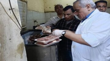 ضبط لحوم غير صالحة للاستهلاك بمدينة سنورس بالفيوم