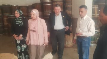 ضبط واعدام 510 كيلو فسيخ في حملة بمدينة نبروه بالدقهلية