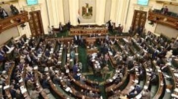 «طاقة النواب» تطالب بسرعة تنفيذ التكليفات الرئاسية لاستكمال التغذية الكهربائية لـ"الدلتا الجديدة"