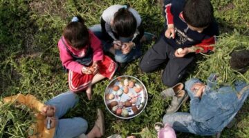 طقس شم النسيم معتدل الحرارة ورائع للتنزه