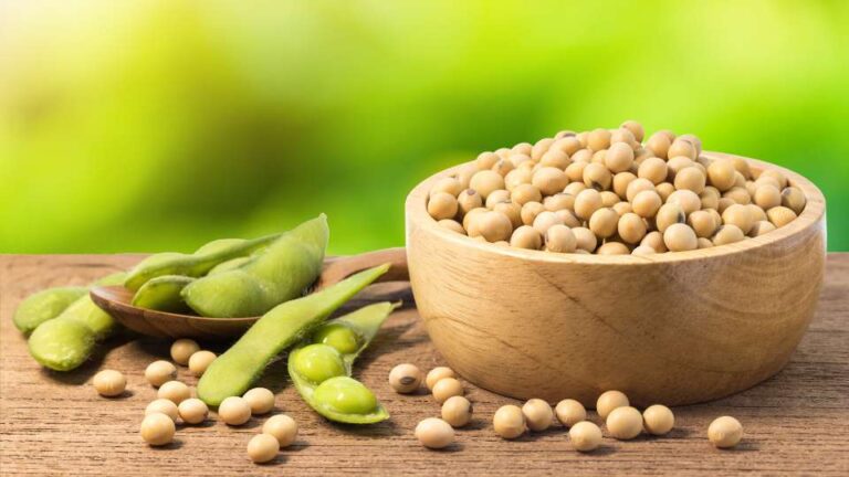 طوكيو تلوّح بزيادة واردات الأرز والصويا من واشنطن مقابل تخفيف الرسوم الجمركية الأميركية طوكيو تلوّح بزيادة واردات الأرز والصويا من واشنطن مقابل تخفيف الرسوم الجمركية الأميركية
