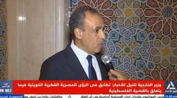 عبد العاطي: هناك تطابق للرؤى"المصرية القطرية الكويتية" فيما يتعلق بفلسطين
