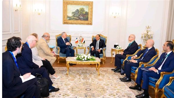 عبدالعاطي يستقبل وزير الدولة بوزارة الداخلية الفرنسية عبدالعاطي يستقبل وزير الدولة بوزارة الداخلية الفرنسية