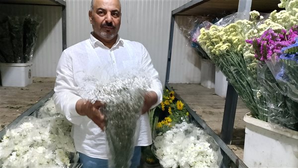 عزبة الأهالي مملكة الزهور في مصر..تزرع الورود وتصدرها للدول العربية وأوربا عزبة الأهالي مملكة الزهور في مصر..تزرع الورود وتصدرها للدول العربية وأوربا