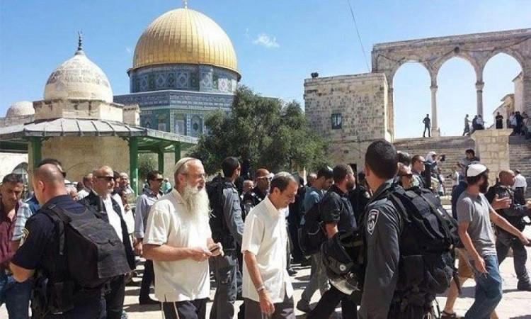 عشرات المستوطنون يقتحمون باحات المسجد الأقصي بحماية شرطة الاحتلال عشرات المستوطنون يقتحمون باحات المسجد الأقصي بحماية شرطة الاحتلال