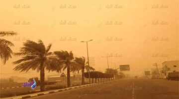 عواصف ترابية.. جمال شعبان: يوجه رسالة للمواطنين بشأن مرضي الجيوب الأنفية