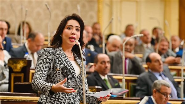 غادة علي تعلن موافقتها علي الحساب الختامي 2023/2024.. وترصد الإيجابيات والسلبيات غادة علي تعلن موافقتها علي الحساب الختامي 2023/2024.. وترصد الإيجابيات والسلبيات