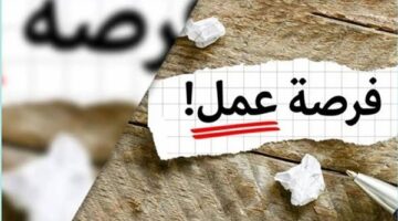 فرصة عمل جديدة بشركة قبرصية براتب 90 ألف جنيه.. تفاصيل