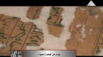 فيلم "إسو" يتناول زراعة نبات البردي وإقبال السائحين على شرائه