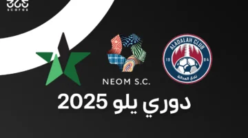 كل ما تريد معرفته عن دوري يلو 2025.. الصاعدين والهابطين