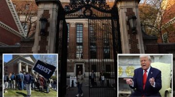 لن نخضع.. جامعة هارفارد تتحدّى ترامب في المحكمة