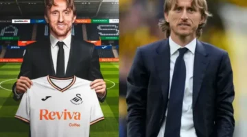 لوكا مودريتش يصبح أحد ملاك سوانزي