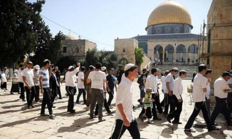 مئات المستوطنين يقتحمون المسجد الأقصى في ثالث أيام عيد "الفصح اليهودي" مئات المستوطنين يقتحمون المسجد الأقصى في ثالث أيام عيد "الفصح اليهودي"