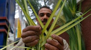 ما هو "أحد السعف" الذي يحتفل به الأقباط الأرثوذكس اليوم؟