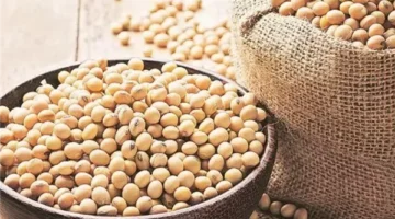 ما هي أنواع السرطان الذي يساعد فول الصويا على الوقاية منها؟