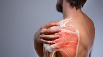 ما هي الأطعمة التي تساعد على بناء العضلات؟