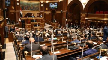 مجلس الشيوخ يحيل دراسة عن الأمن الغذائي إلى الحكومة