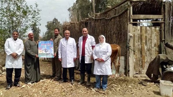 محافظ المنوفية: تحصين 76 ألفًا و282 رأس ماشية ضد مرض الحمى القلاعية محافظ المنوفية: تحصين 76 ألفًا و282 رأس ماشية ضد مرض الحمى القلاعية