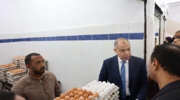 محافظ المنيا يطرح كرتونة البيض بـ 120جنيهًا دعمًا للمواطنين في أعياد الربيع