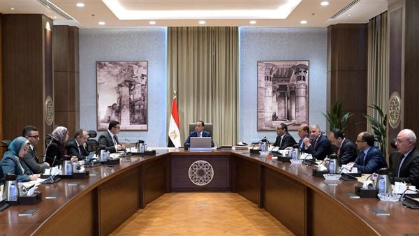 مدبولى يتابع مشروع سد ومحطة كهرباء “جوليوس نيريري”بدولة تنزانيا مدبولى يتابع مشروع سد ومحطة كهرباء “جوليوس نيريري”بدولة تنزانيا