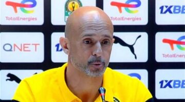 مدرب صن داونز: حذر الأهلي منا طبيعي.. وشيء واحد فقط سبب عبورنا للنهائي