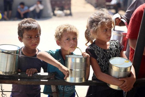 مسؤولة أوروبية: الطعام يتعفن على أبواب غزة جراء المنع الإسرائيلي مسؤولة أوروبية: الطعام يتعفن على أبواب غزة جراء المنع الإسرائيلي