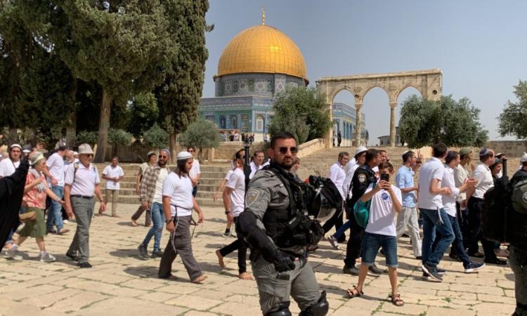 مستوطنون يقتحمون باحات الأقصي بحماية قوات الاحتلال بحجة الاعياد اليهودية مستوطنون يقتحمون باحات الأقصي بحماية قوات الاحتلال بحجة الاعياد اليهودية