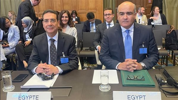 مصر تحسم الموقف في لاهاي: لا شرعية للاحتلال ولا أرض تُكتسب بالعنف (فيديو) مصر تحسم الموقف في لاهاي: لا شرعية للاحتلال ولا أرض تُكتسب بالعنف (فيديو)