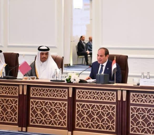 مصر منفتحة للدخول في شراكات جديدة مع المستثمرين القطريين بكافة المجالات مصر منفتحة للدخول في شراكات جديدة مع المستثمرين القطريين بكافة المجالات