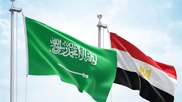 مصر والسعودية تؤكدان مجددا حل الدولتين ورفضهما القاطع لتهجير الفلسطينيين