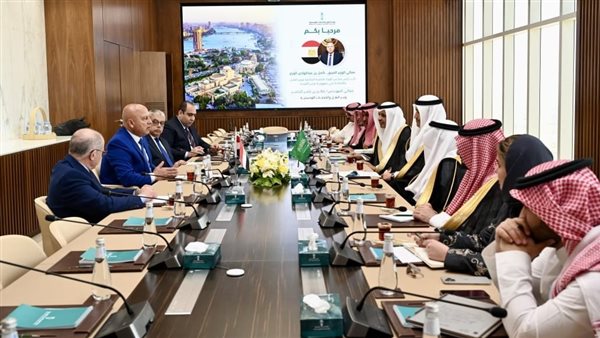 مصر والسعودية تبحثان تعزيز التعاون في مجالات النقل مصر والسعودية تبحثان تعزيز التعاون في مجالات النقل