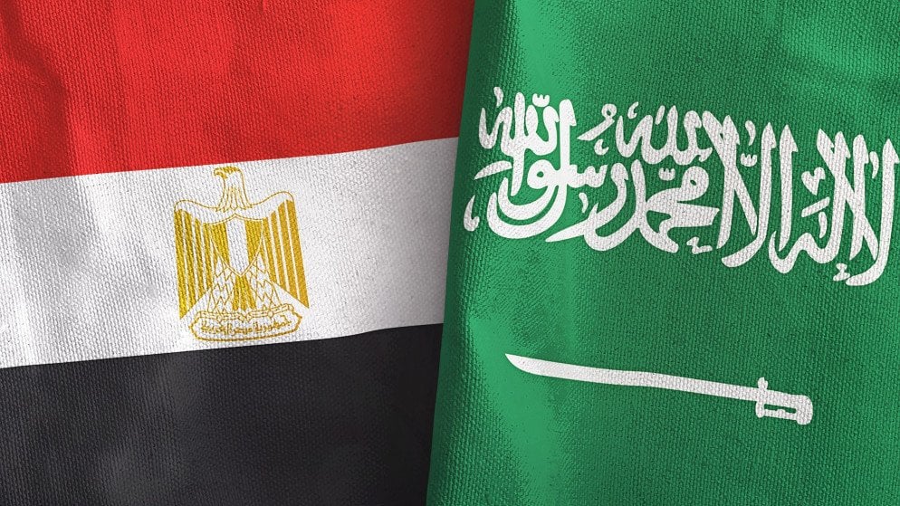 مصر والسعودية تعتزمان إنشاء مناطق حرة وصناديق استثمارية مصر والسعودية تعتزمان إنشاء مناطق حرة وصناديق استثمارية