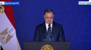 مع الاحتفاظ بالمصرية.. وزير الداخلية يوافق على السماح لـ84 مواطنا بالحصول على جنسيات أجنبية| أسماء