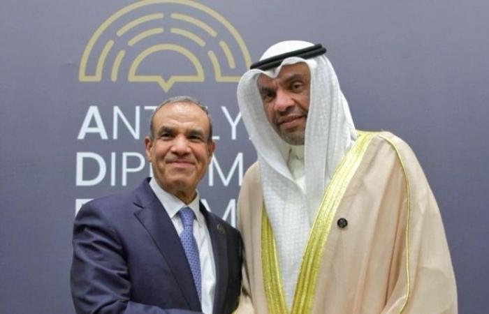 ممثل سمو ولي العهد يلتقي وزير الخارجية المصري على هامش منتدى أنطاليا ممثل سمو ولي العهد يلتقي وزير الخارجية المصري على هامش منتدى أنطاليا