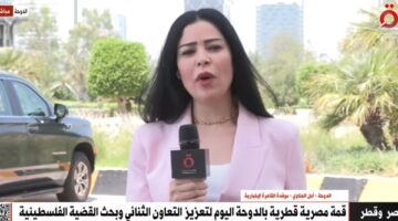 موفدة “القاهرة الإخبارية”: الرئيس السيسي يبحث مع القيادة القطرية تعزيز الاستثمارات