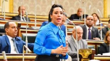 نائبة التنسيقية تقدم بعض الملاحظات على الحساب الختامي للدولة