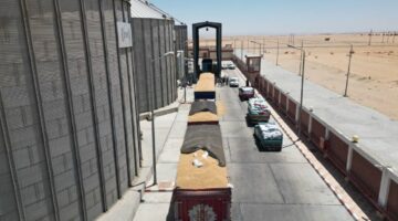 محافظ الوادي الجديد يتابع استعدادات توريد القمح ويعلن زيادة أسعار الشراء وتحسين منظومة التخزين