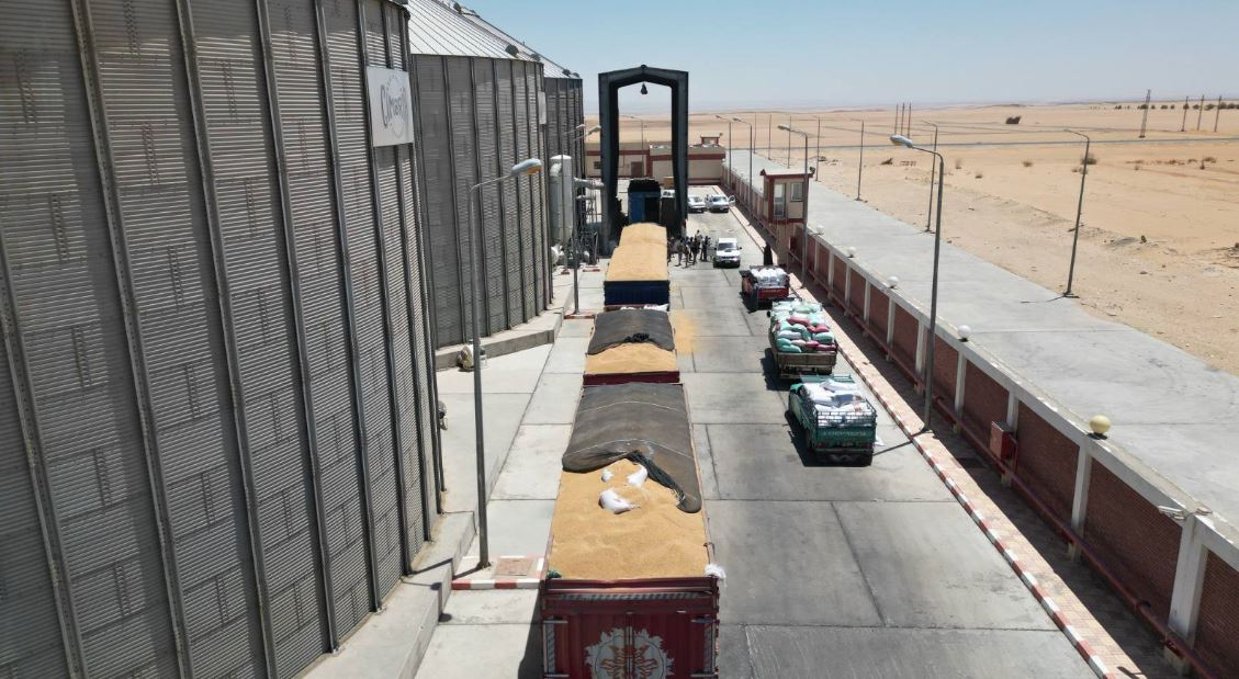 محافظ الوادي الجديد يتابع استعدادات توريد القمح ويعلن زيادة أسعار الشراء وتحسين منظومة التخزين