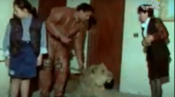 هجوم أسد على نجوى إبراهيم..في(  فكر ثواني)