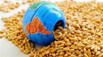 وزارة الزراعة.. قاطرة الأمن الغذائي في مصر