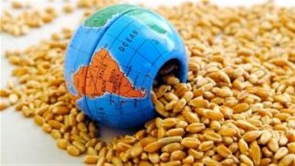 وزارة الزراعة.. قاطرة الأمن الغذائي في مصر وزارة الزراعة.. قاطرة الأمن الغذائي في مصر