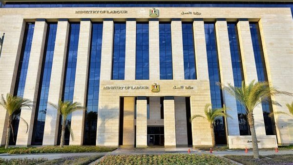 وزارة العمل تعلن عن 7 فرص عمل للمعلمين برواتب تصل 70 ألف جنيه شهريا وزارة العمل تعلن عن 7 فرص عمل للمعلمين برواتب تصل 70 ألف جنيه شهريا