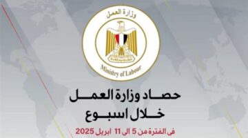 وزارة العمل في أسبوع| لقاءات مكثفة مع الشركاء المحليين والدوليين.. فيديو