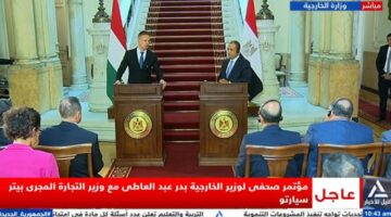 وزير الخارجية: بحثت مع وزير التجارة المجري جهود مصر في وقف القتال في غزة